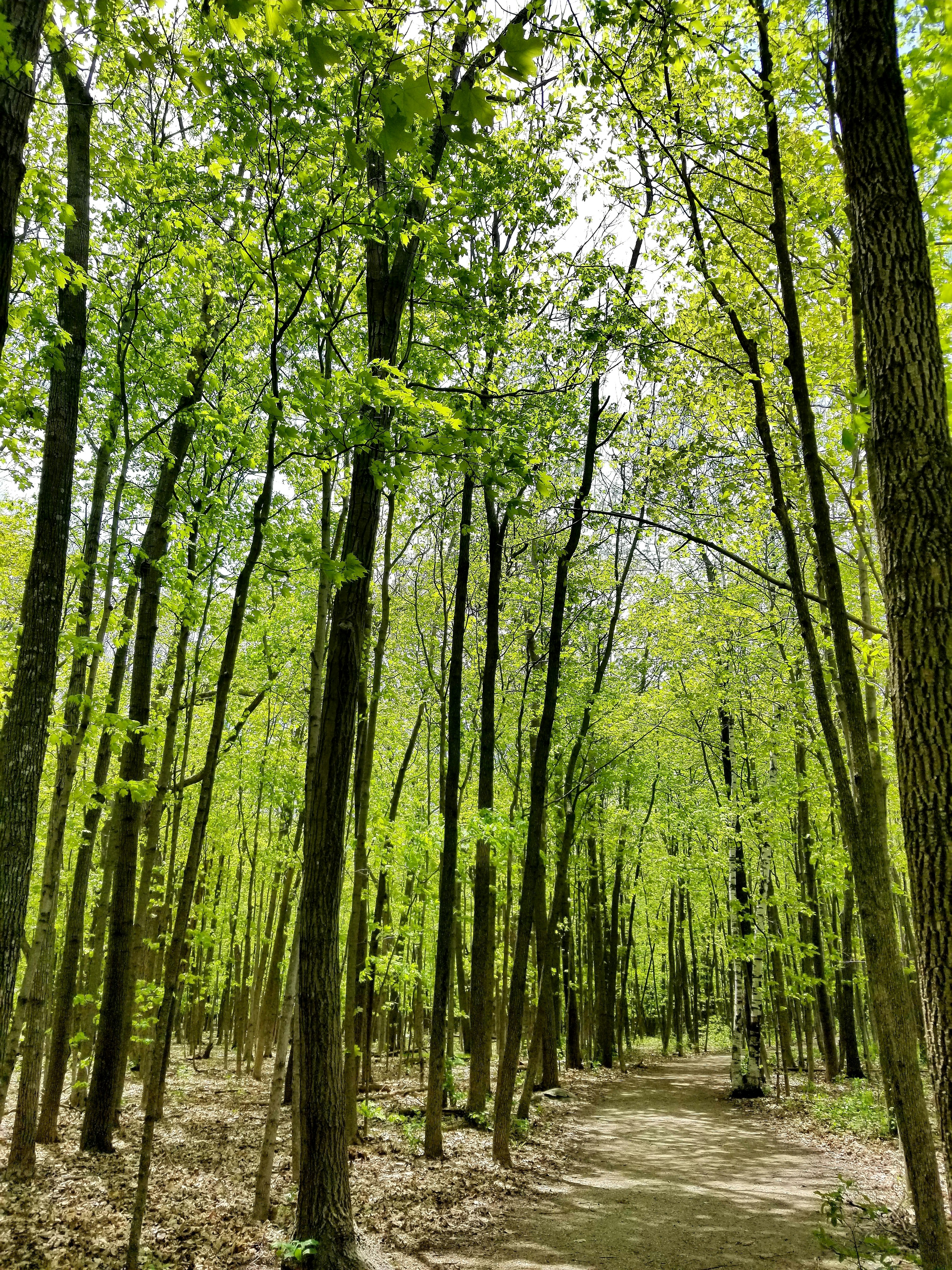 Photo by kimberlyeschenbauchphotography