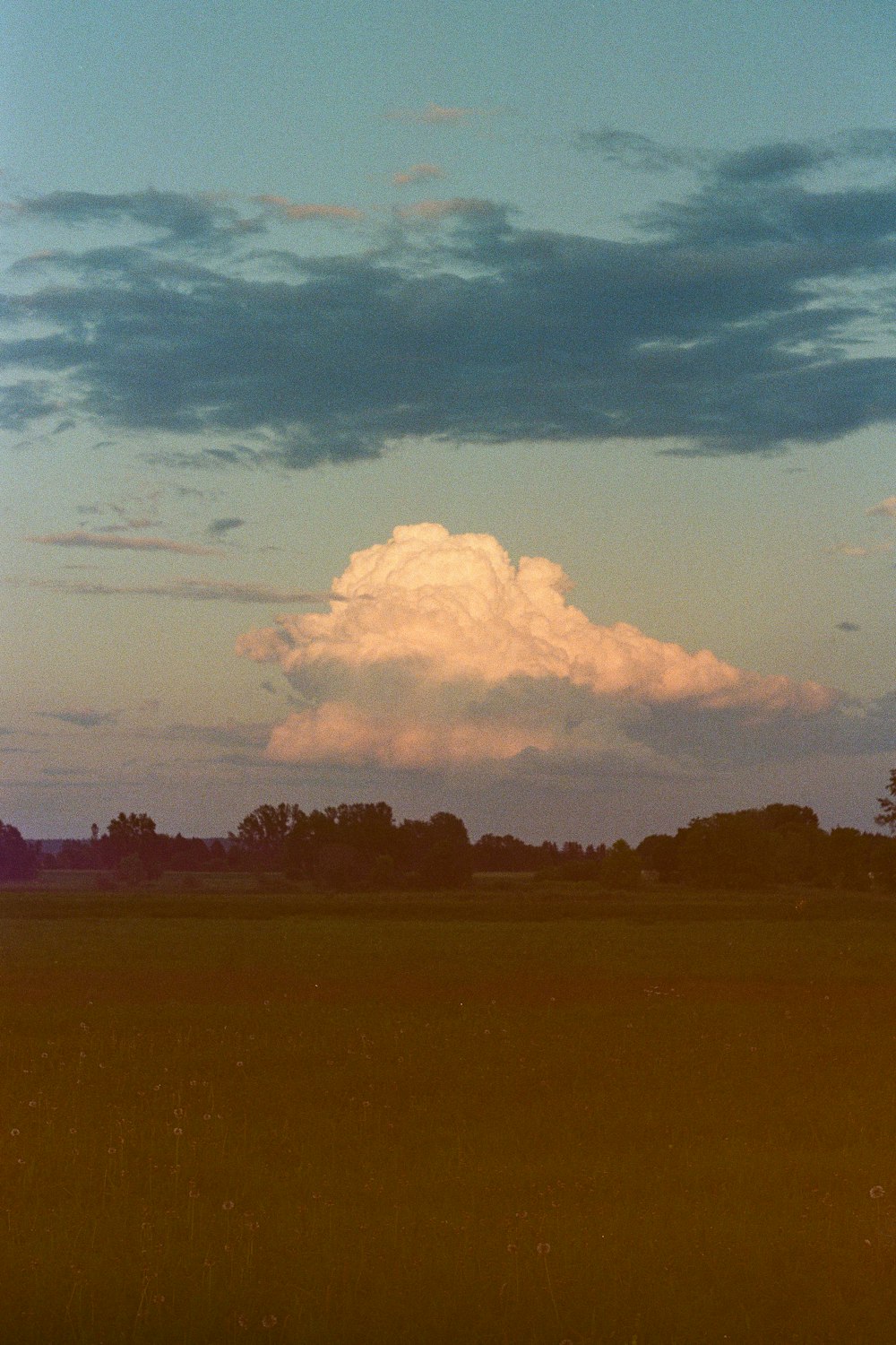 Weiße Wolken über grünem Grasfeld