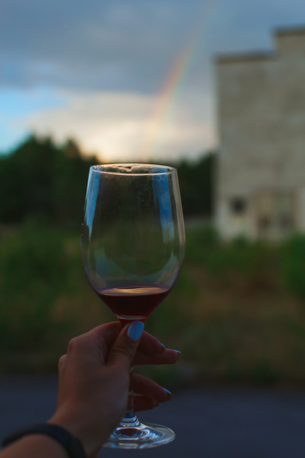 person holding clear wine glass with red wine