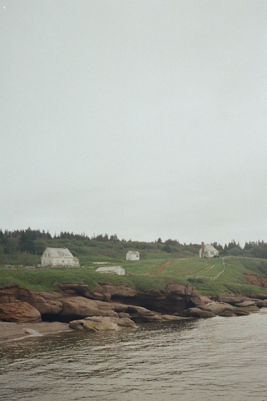 green grass field near green trees under white sky during daytime in Île Bonaventure Canada