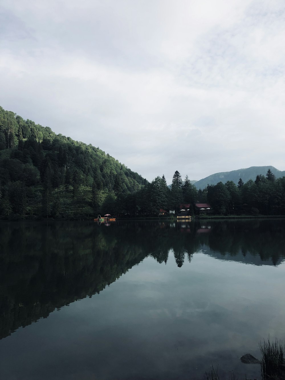 green trees near lake during daytime