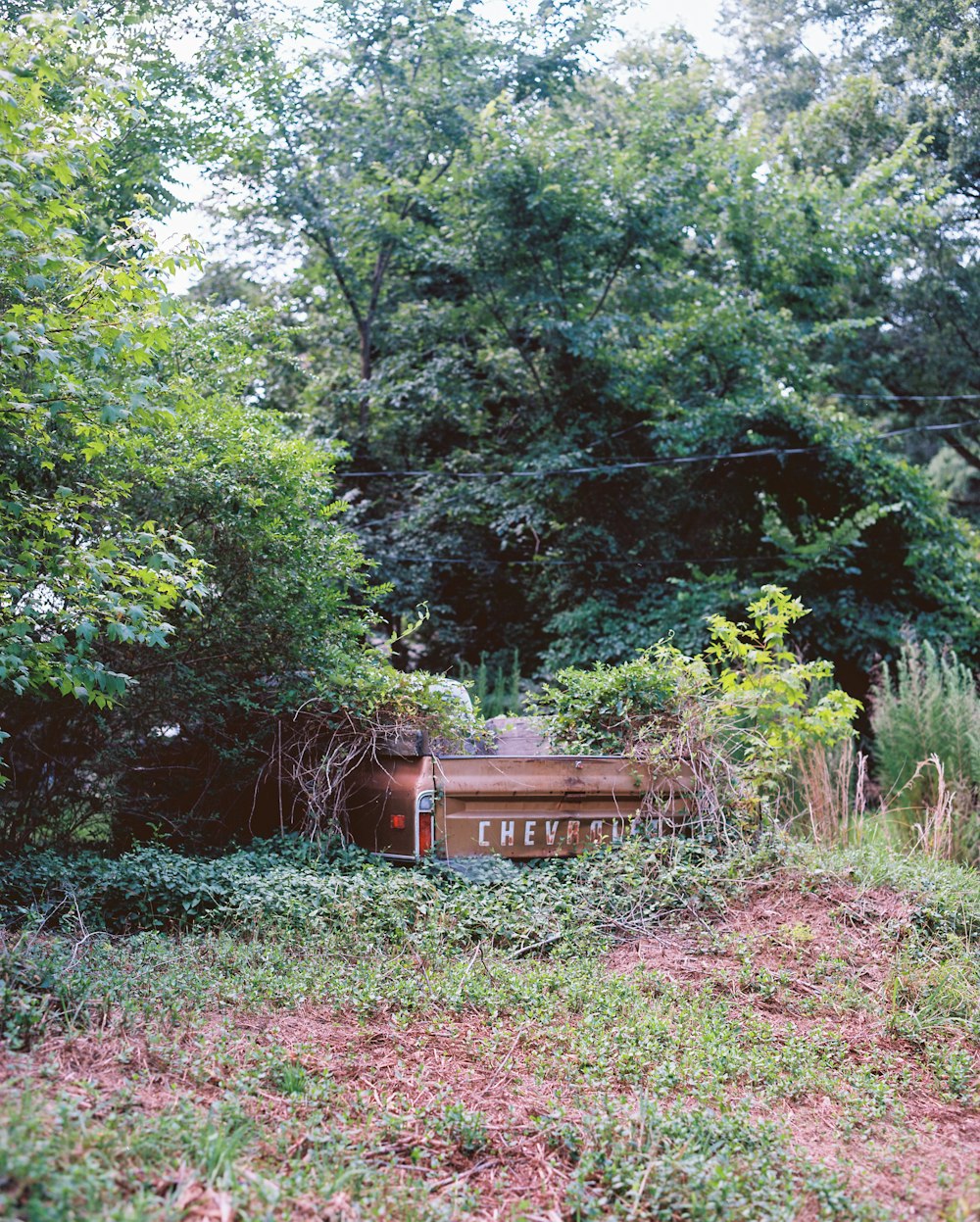 brown wooden house in the middle of green trees