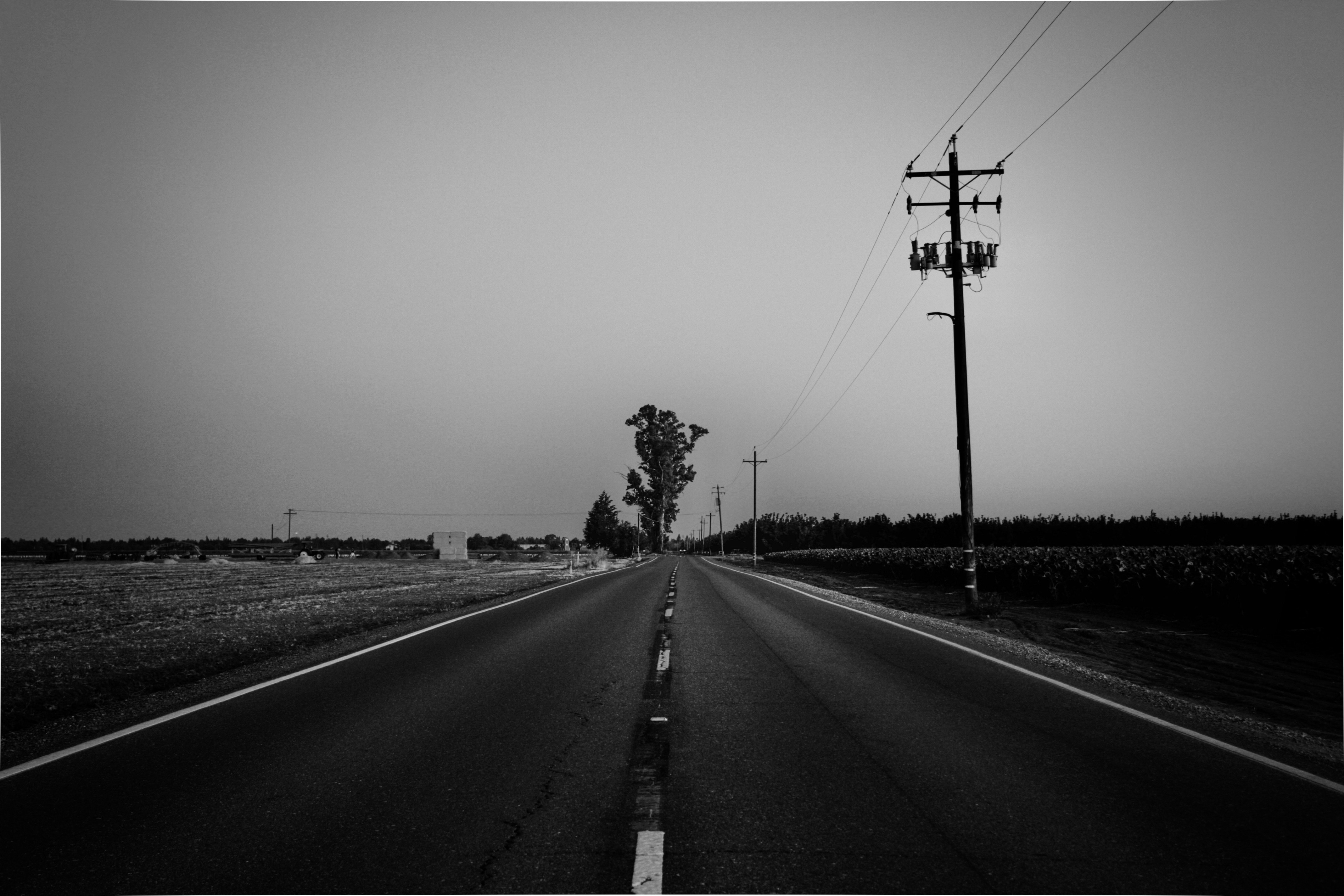 Photo by parsoakhorsand