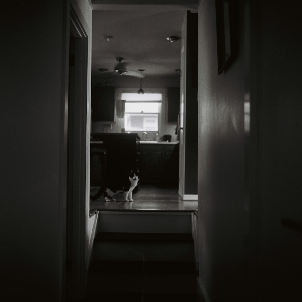 white wooden door in a room