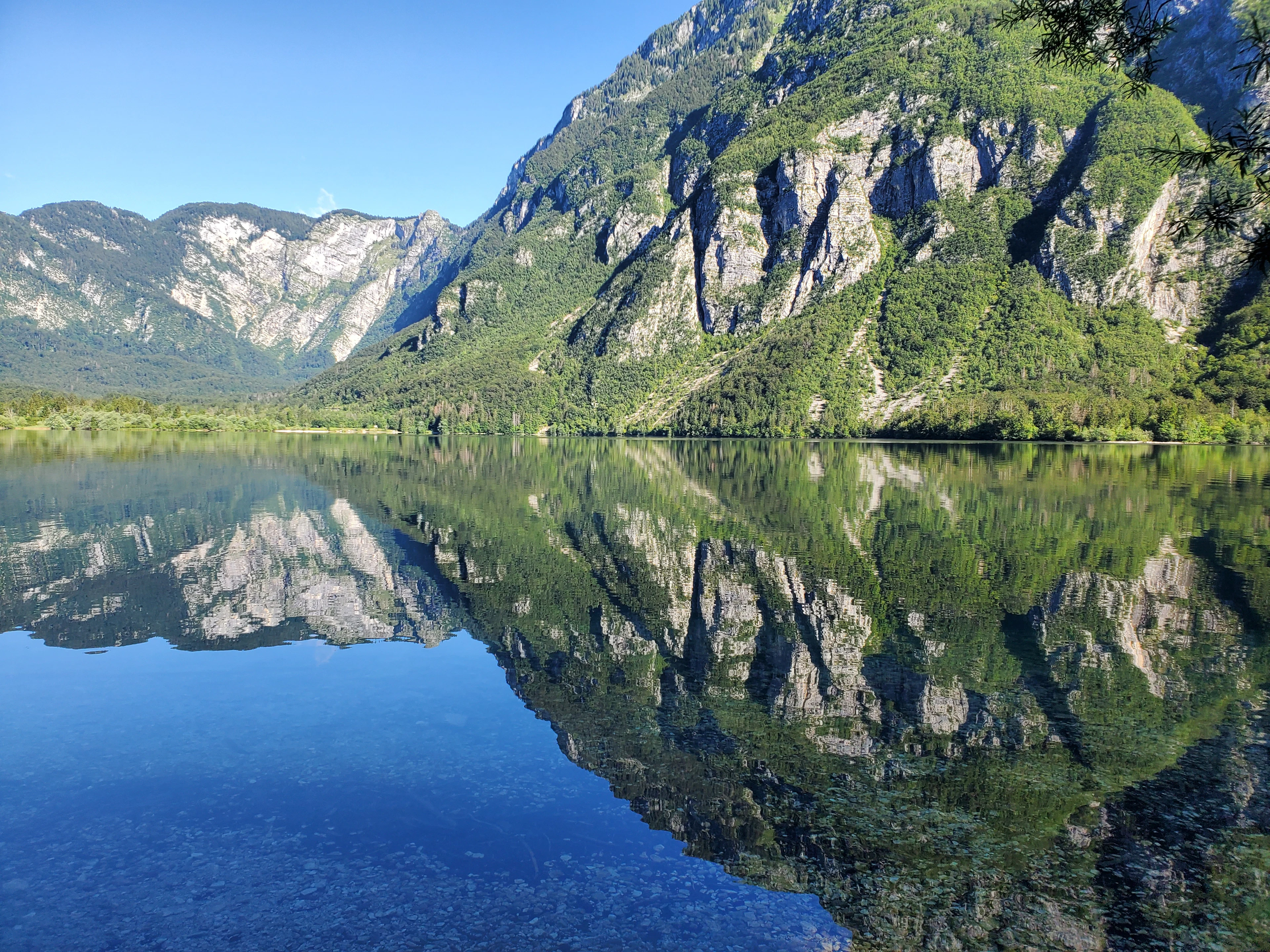 Limestone cliffs and wooded slopes reflected in the still water of Lake Bohinj, Slovenia