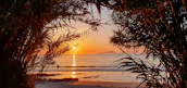 A scenic sunset over a tropical beach, capturing the essence of a perfect getaway.