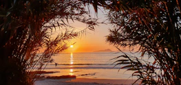 A scenic sunset over a tropical beach, capturing the essence of a perfect getaway.