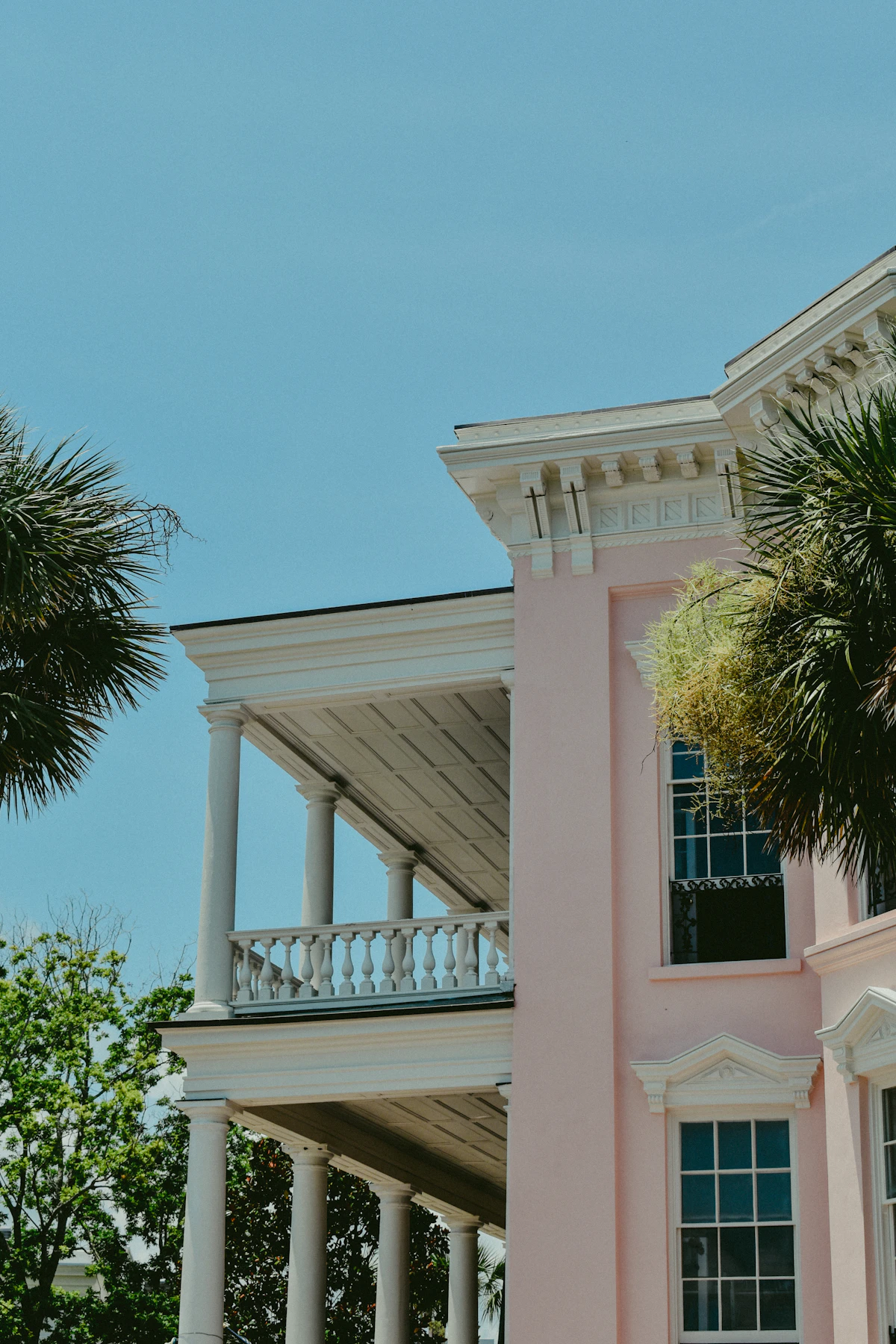 White Charleston single house beside a live oak