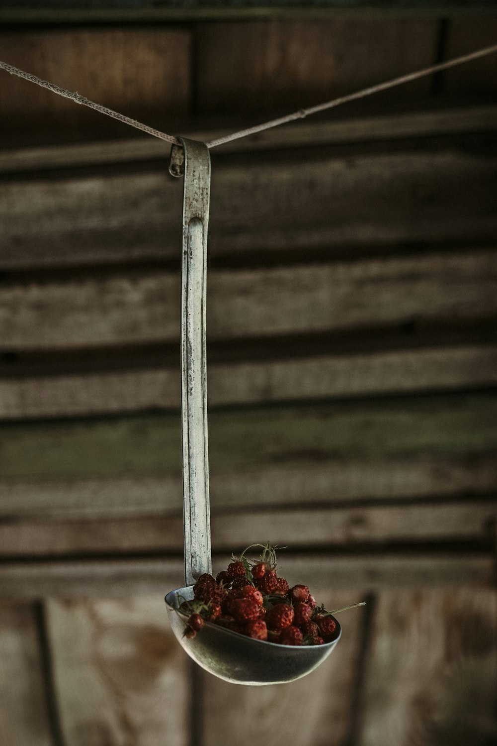 weiße Metallstange mit roten Blumen