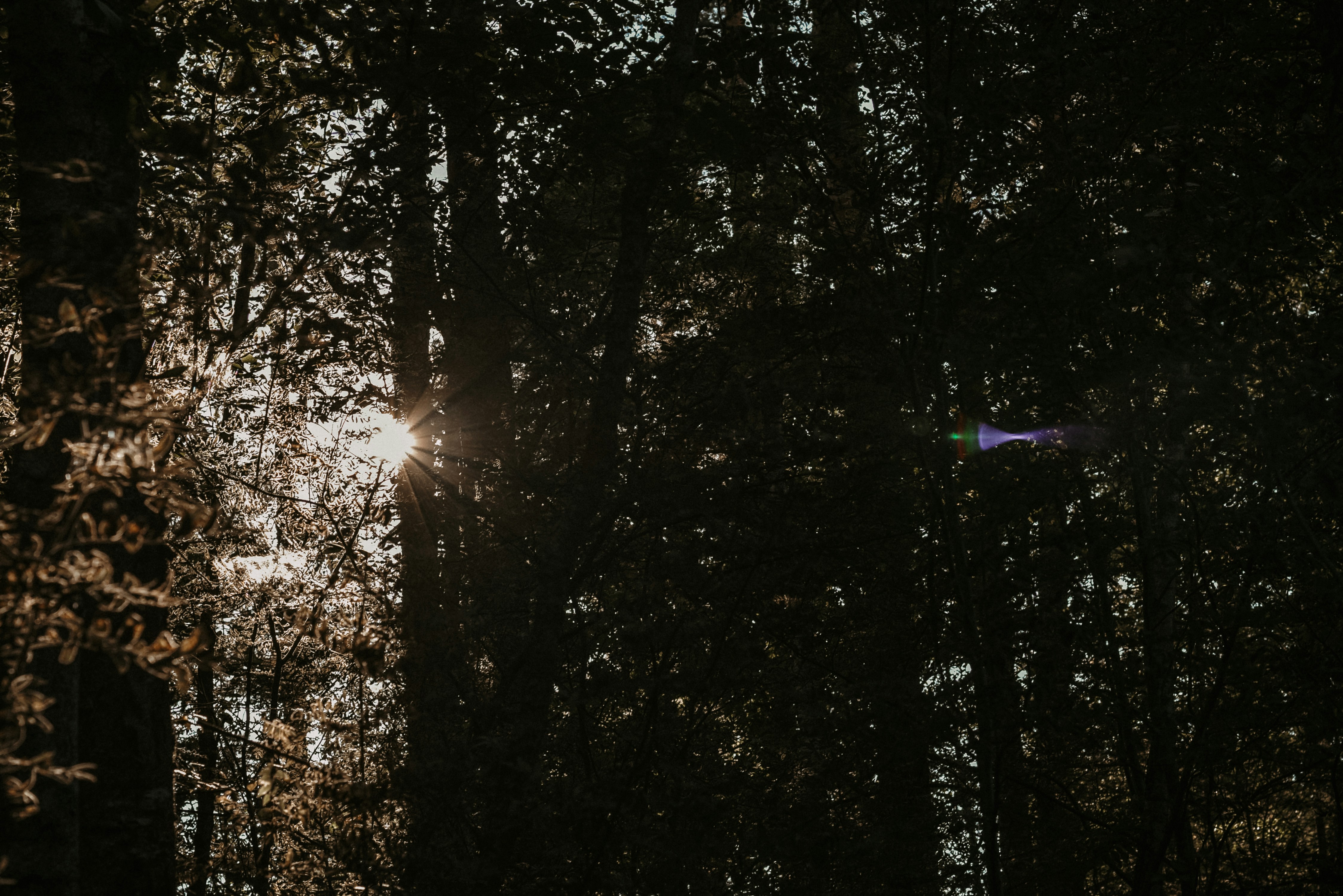 Bogged Finance [OLD] header image