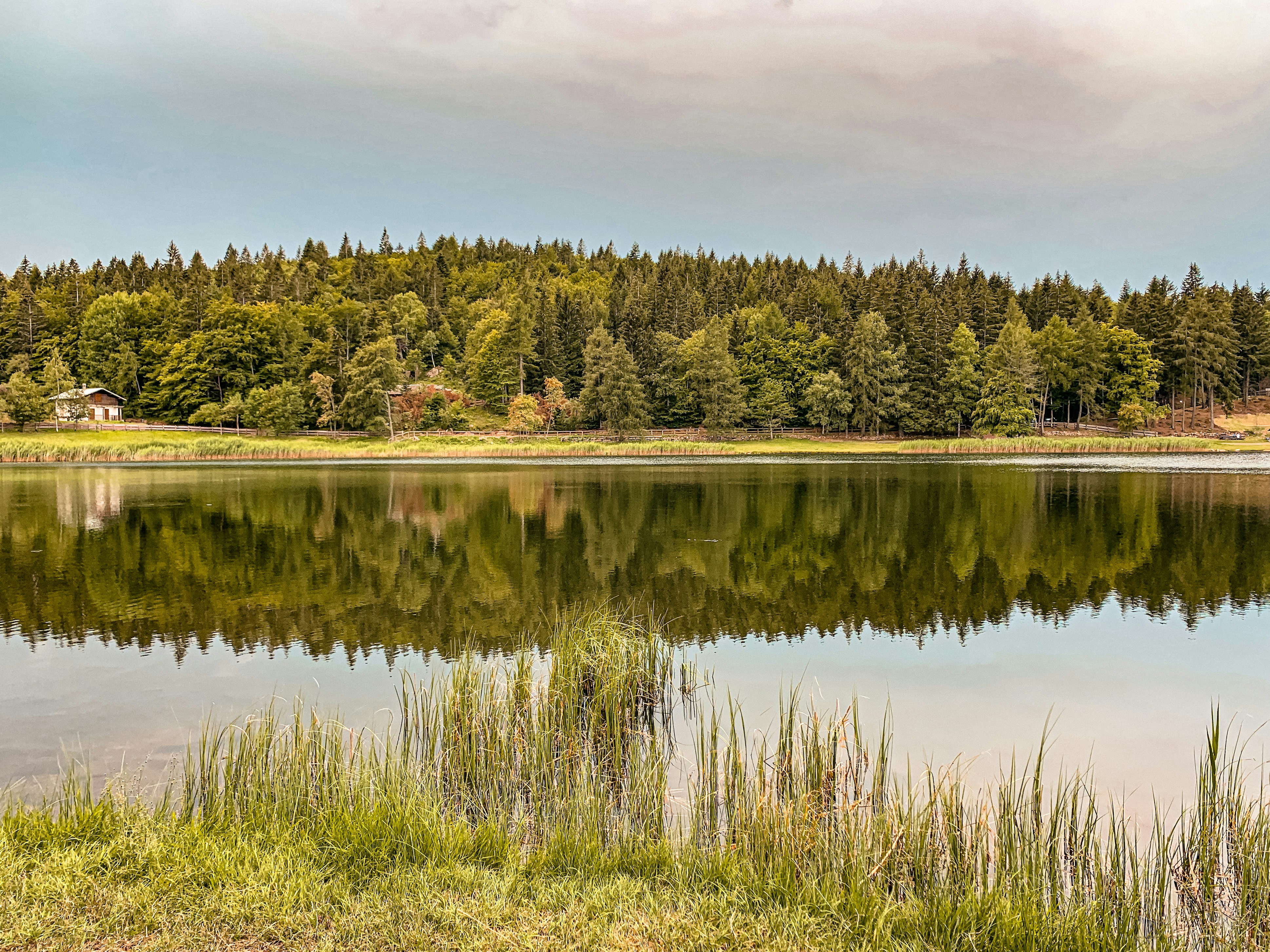 Photo by benedettaland