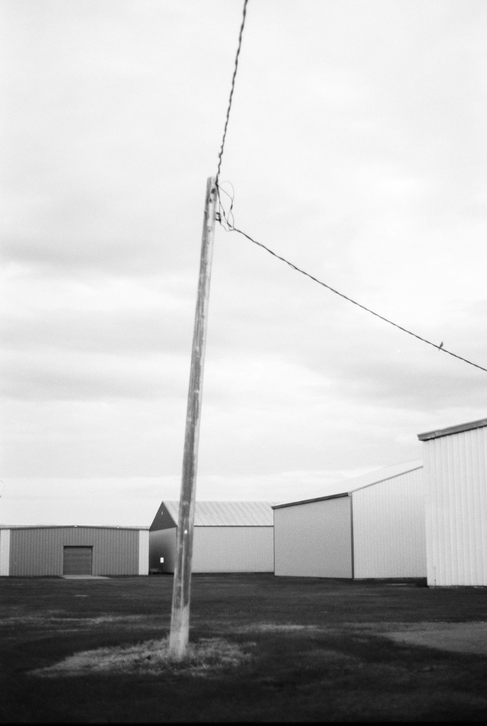 white and gray building under white sky