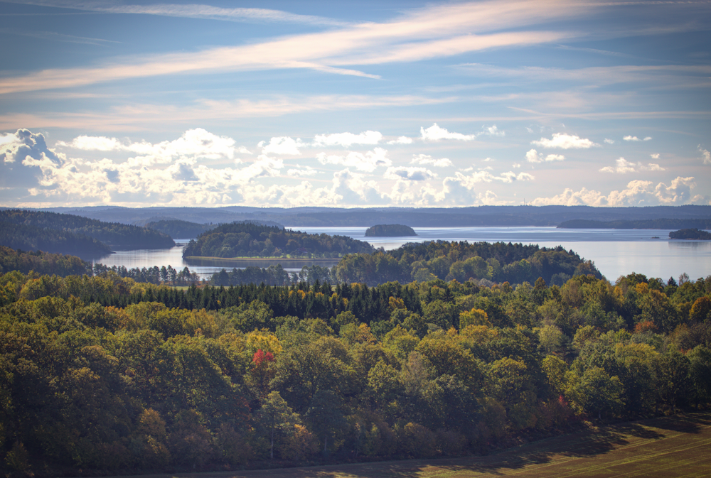 green trees near body of water under white clouds during daytime