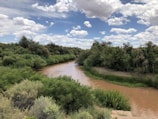 A winding river flowing through a restored landscape, with birds flying overhead.