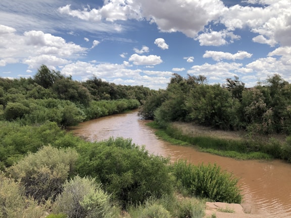 A winding river flowing through a restored landscape, with birds flying overhead.