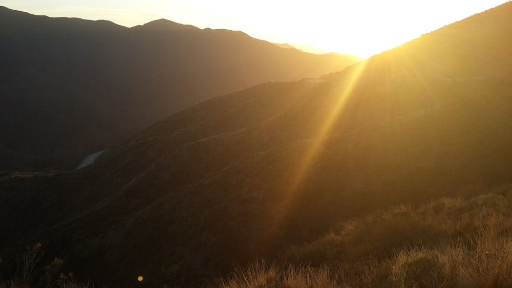 brown grass on mountain during daytime