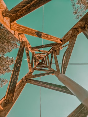 brown wooden ladder near trees
