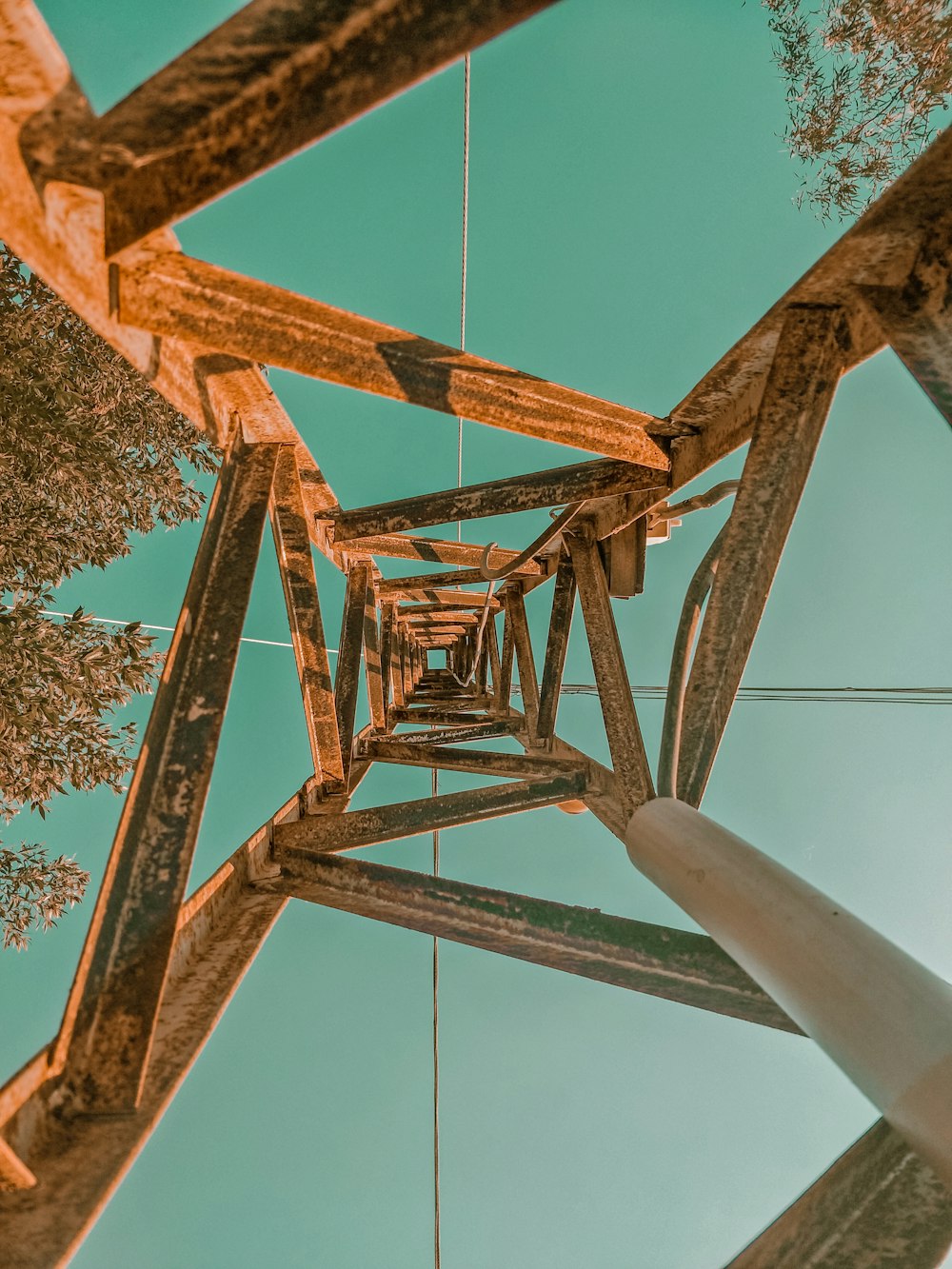 brown wooden ladder near trees