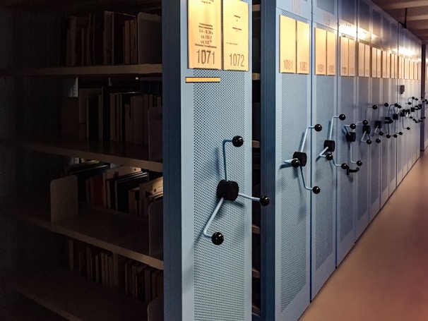 books in shelves in room