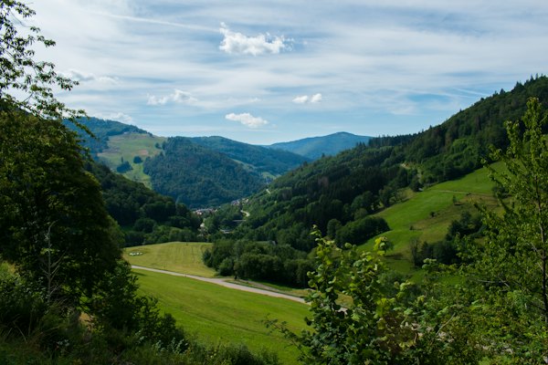 Green trees on green grass field under white clouds and blue sky during daytime — Black Forest, Germany