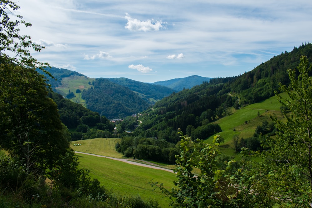 green trees on green grass field under white clouds and blue sky during daytime