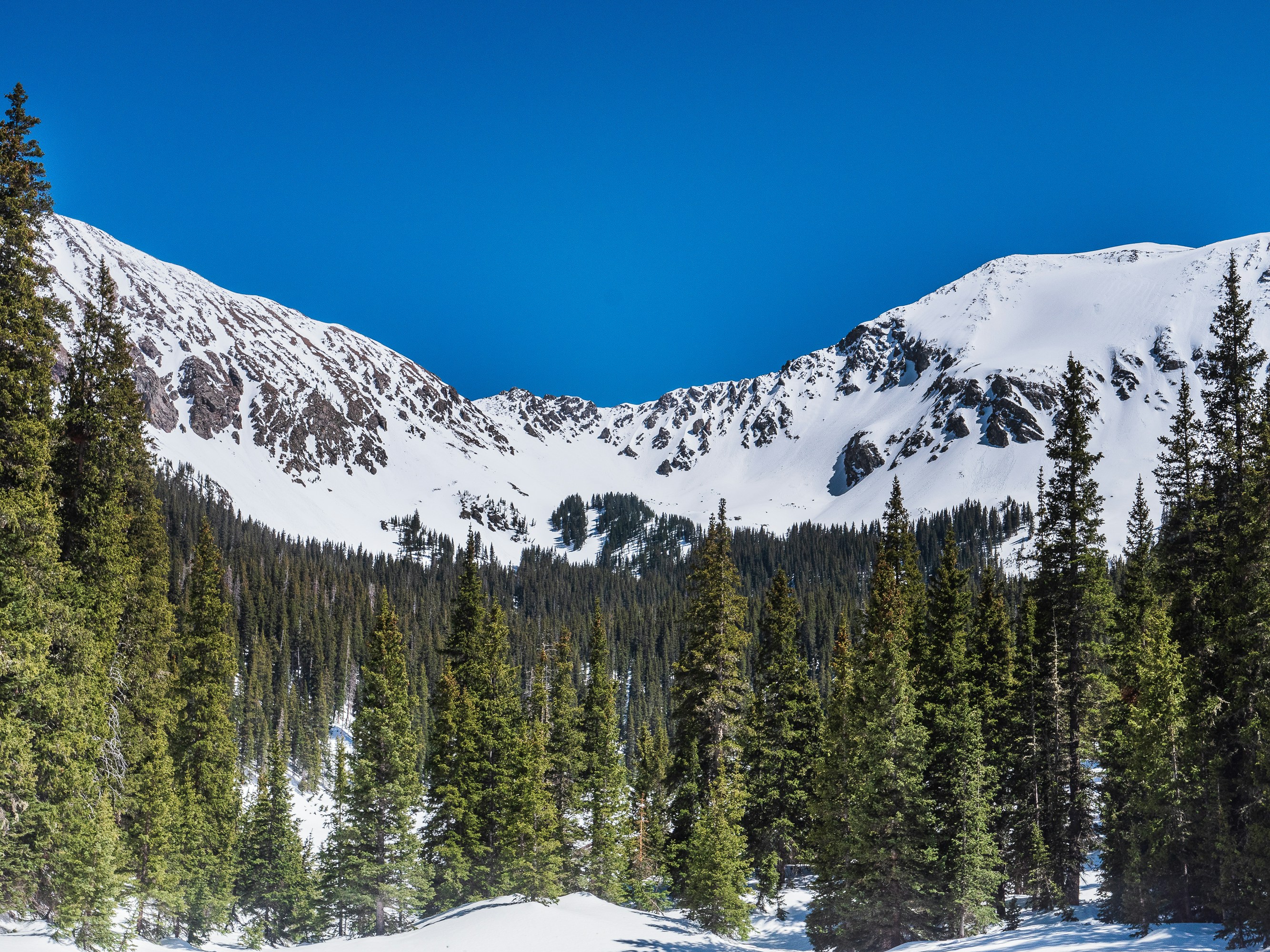 green pine trees on snow covered ground during daytime, Snow covers the landscape in the mountains near Taos Ski Valley, New Mexico. 