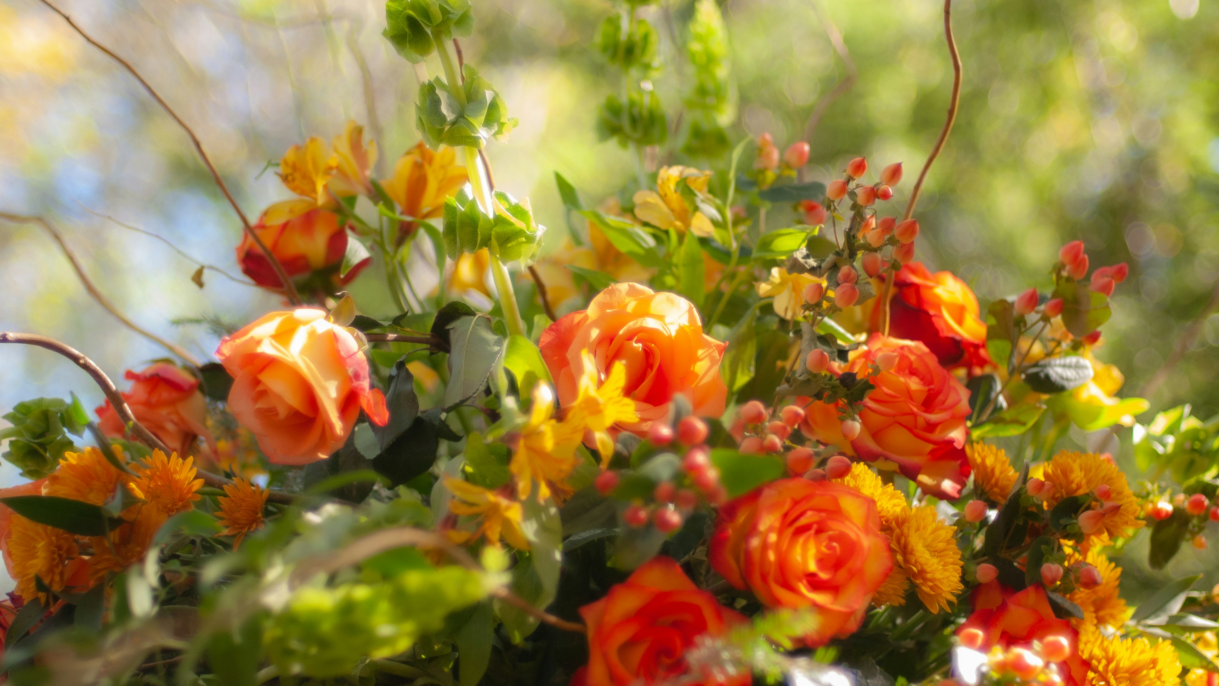 Photo by silverdalex