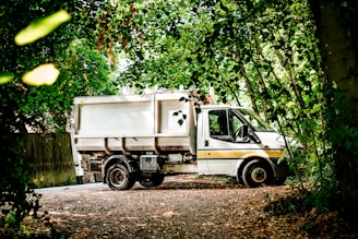 white and green truck on dirt road during daytime