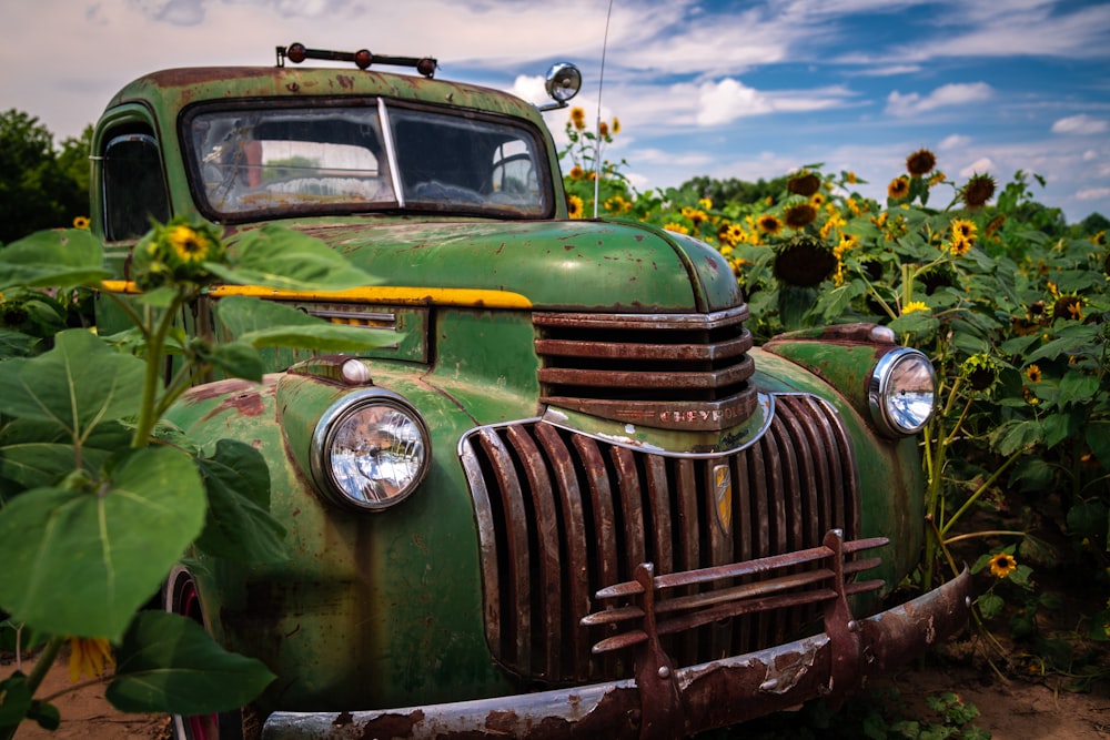 green vintage car on green grass field during daytime