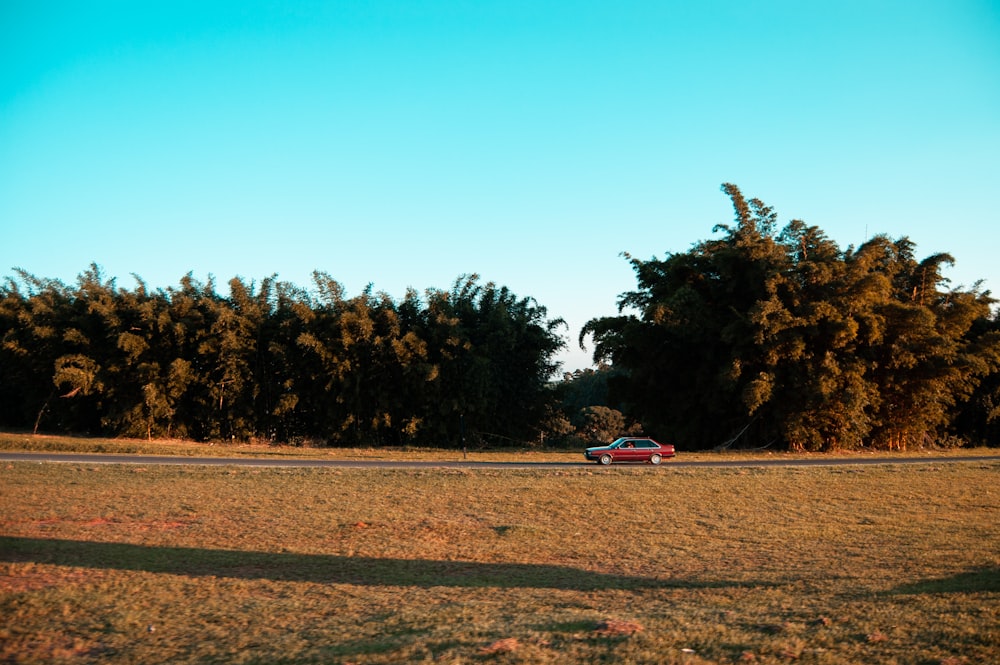 昼間の青空の下で緑の木々に囲まれた茶色の野原に赤い車