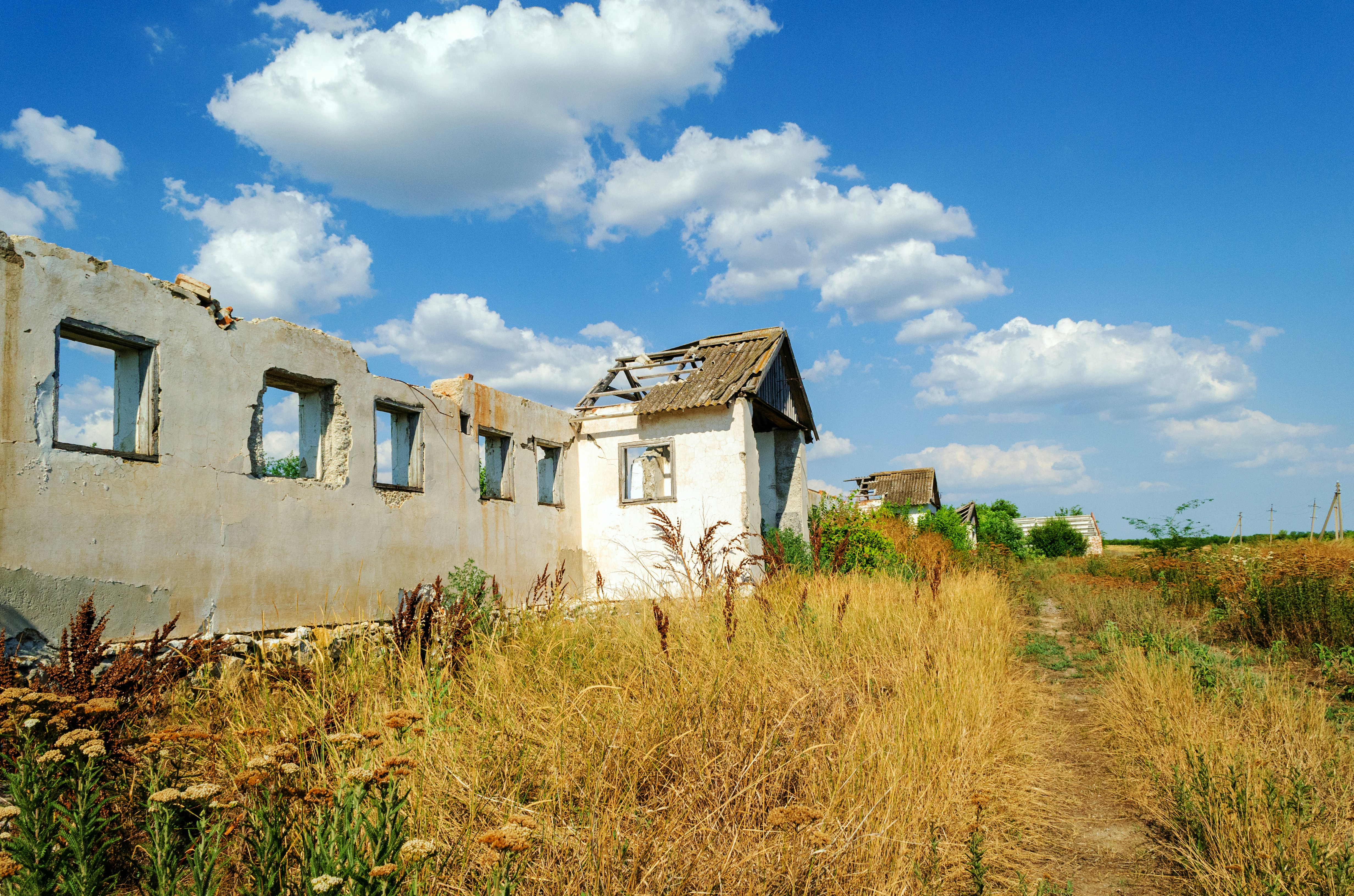 Photo by alexeypaarshukov