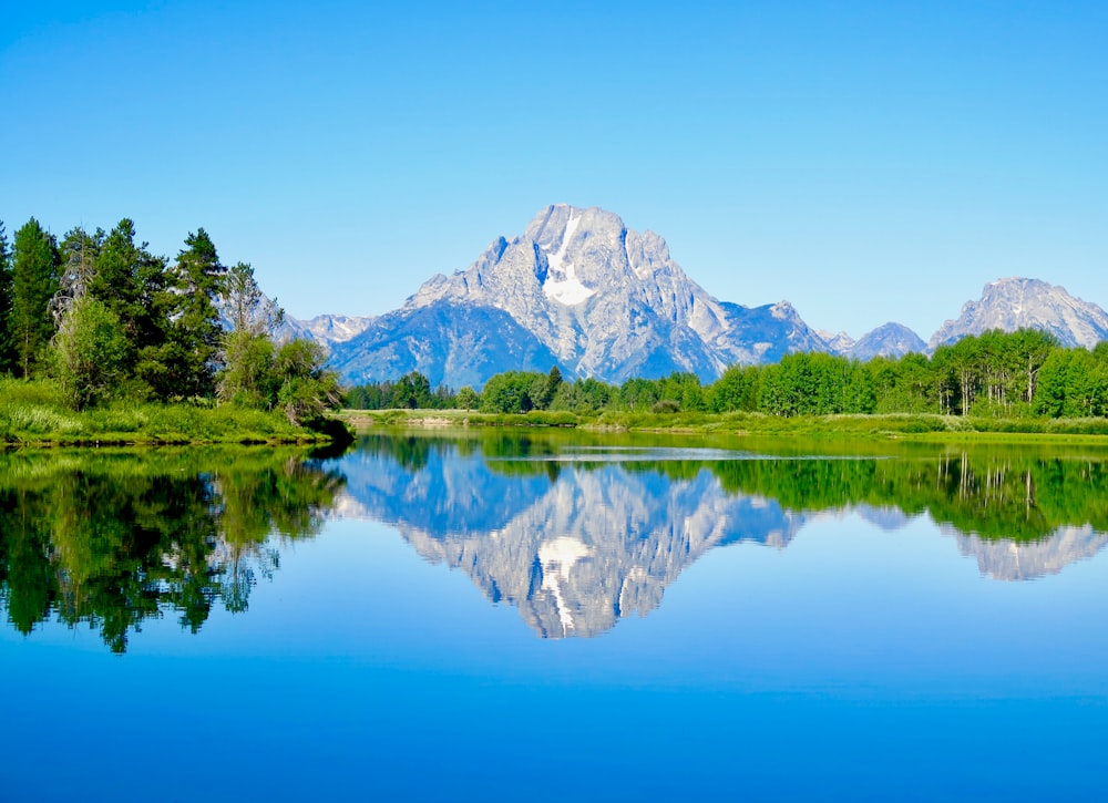 Alberi verdi vicino al lago e alla catena montuosa