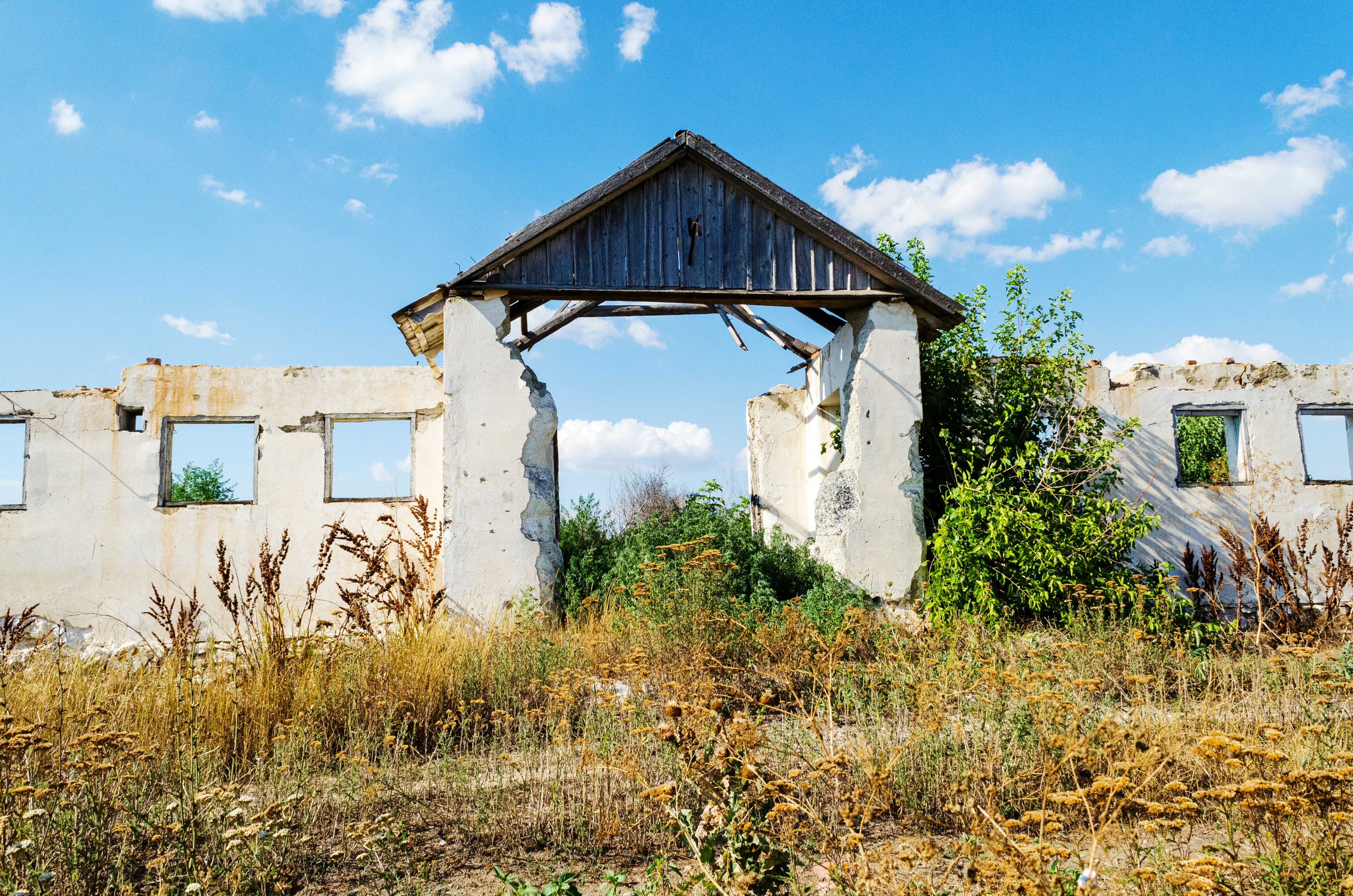 Photo by alexeypaarshukov