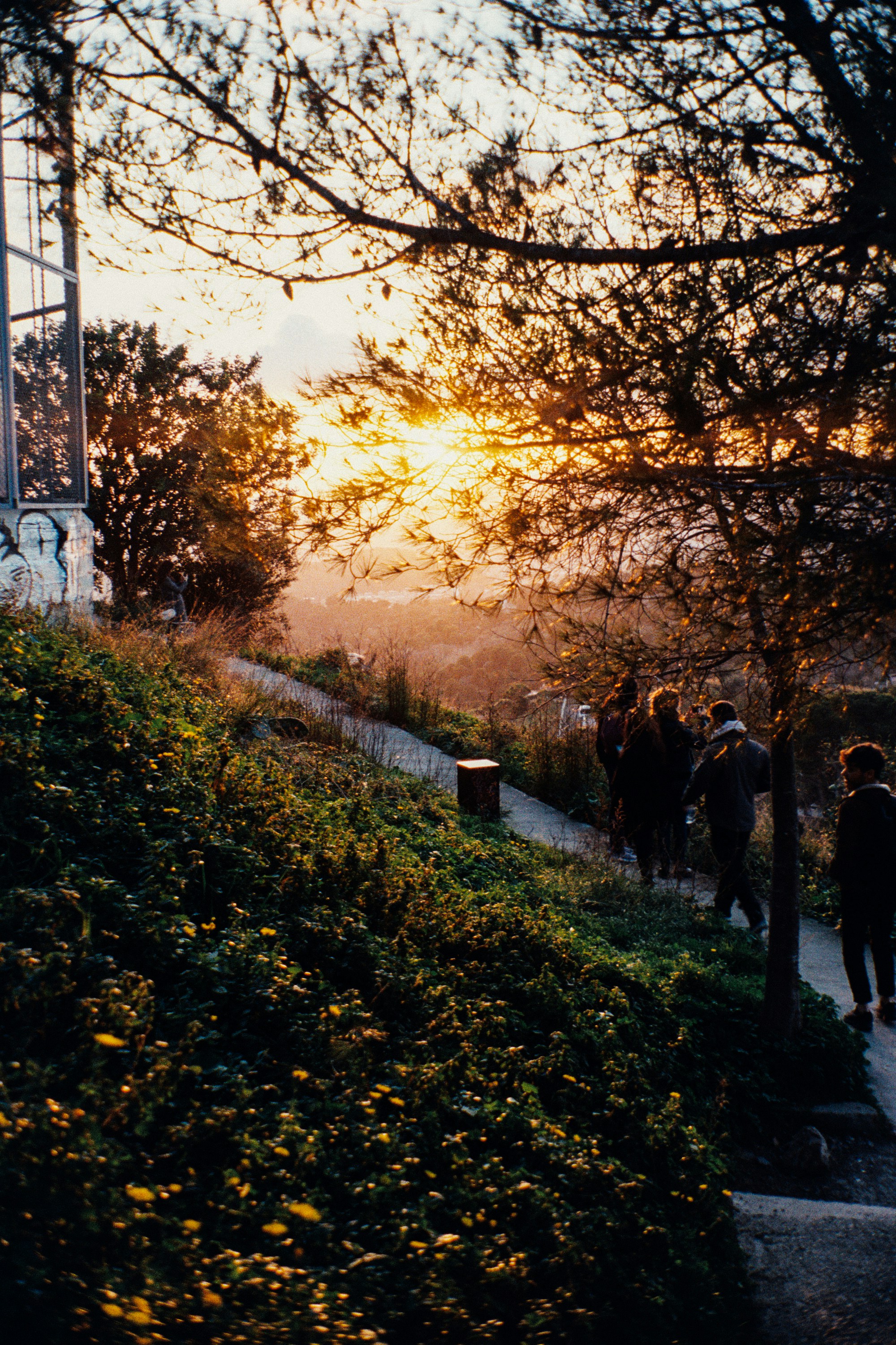 Photo by rociofuhr