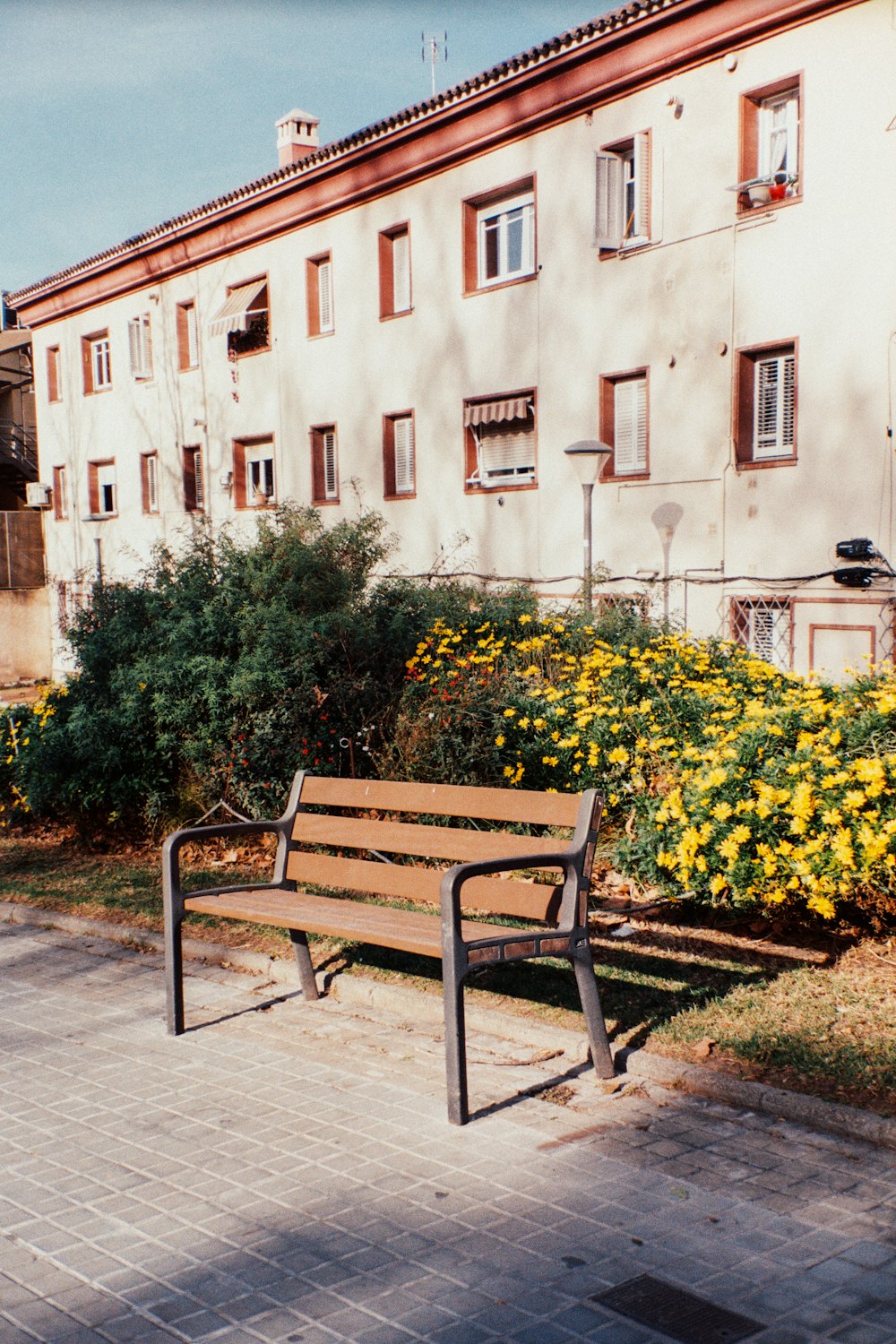 brown wooden bench beside green plants during daytime