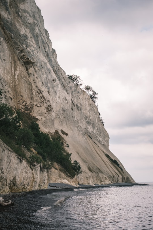 gray rocky mountain under white sky during daytime in Møns Klint Denmark