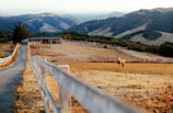 A rural landscape features a long driveway bordered by wooden fences leading to a distant barn. A lone horse stands in a dry, grassy field. Surrounding the scene are rolling hills with patches of trees and brush.