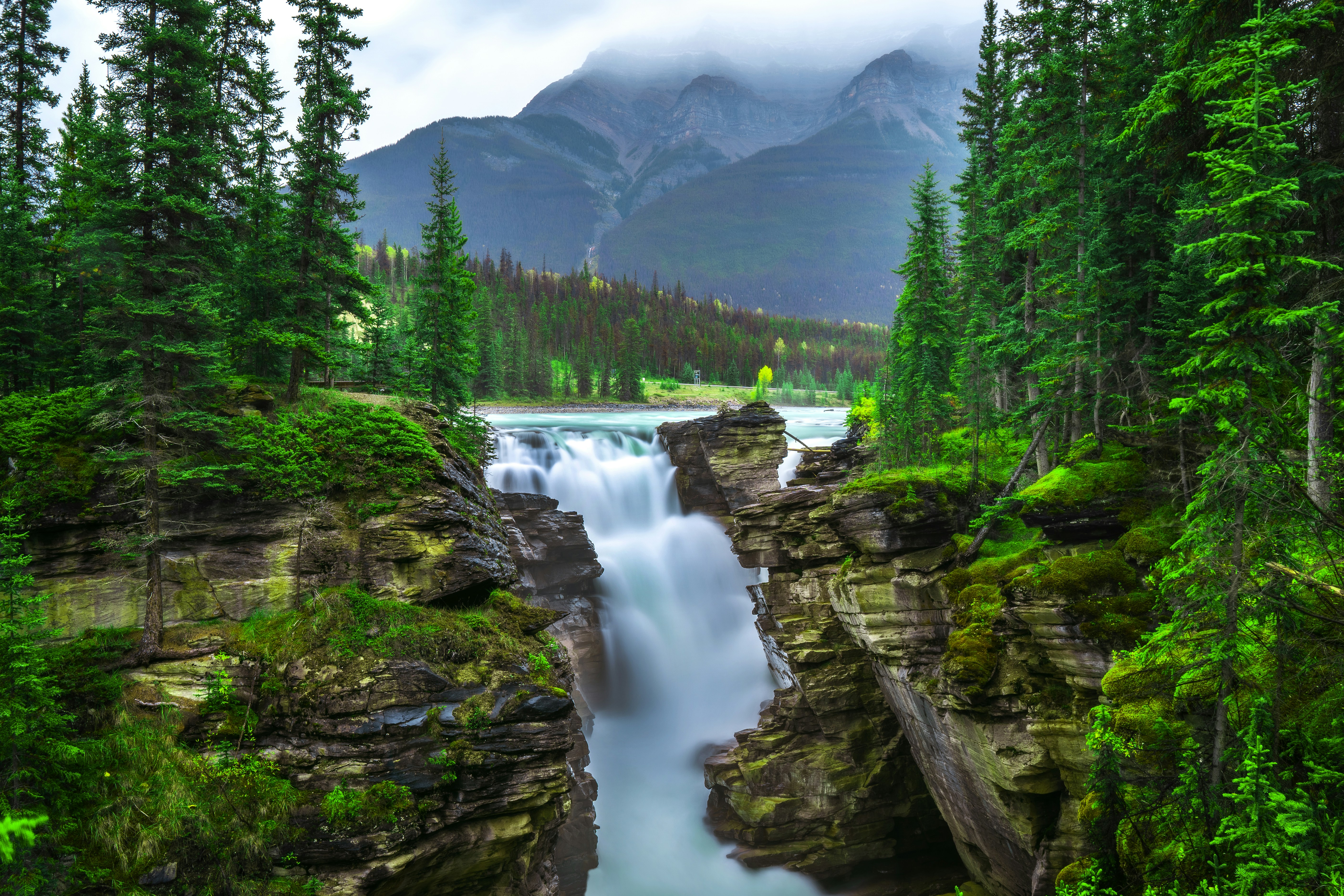 green pine trees near river during daytime stunning teams background