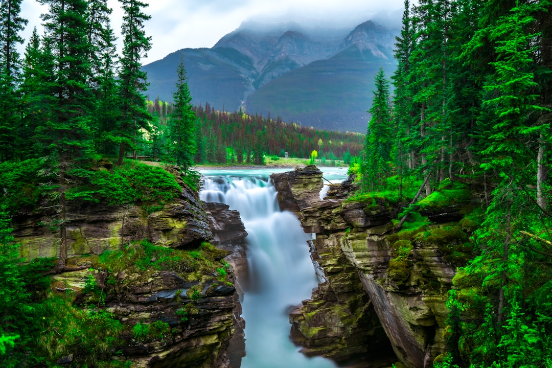 Mountain river photo spot Athabasca Athabasca