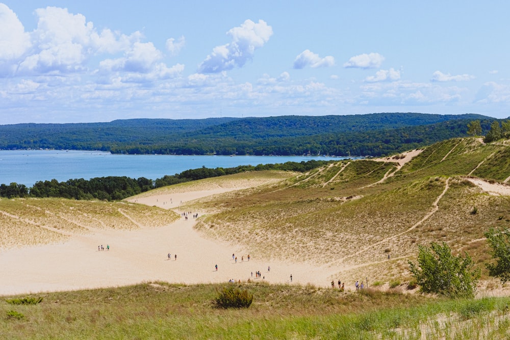 people on beach during daytime