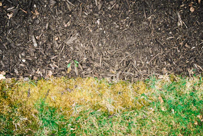 Close-up of rich, dark mulch spread evenly over a cleared area, highlighting the quality of our work.