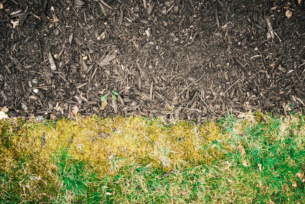 Premium Garden Mulch