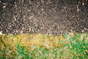 Premium Garden Mulch