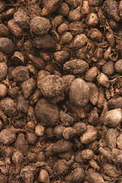 Close-up of rich, fibrous cocopeat ready for packaging.