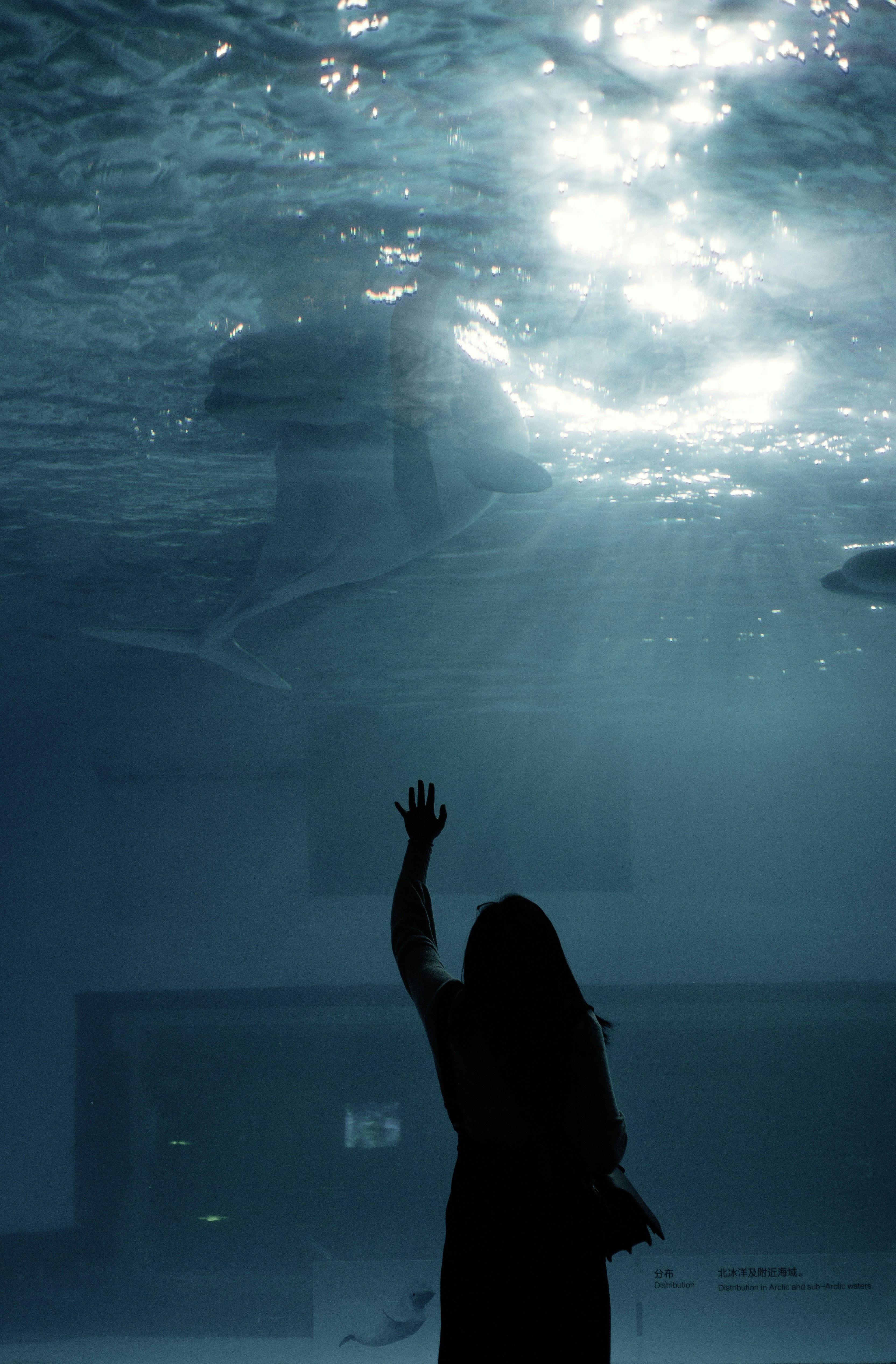 Photo by vinomamba24