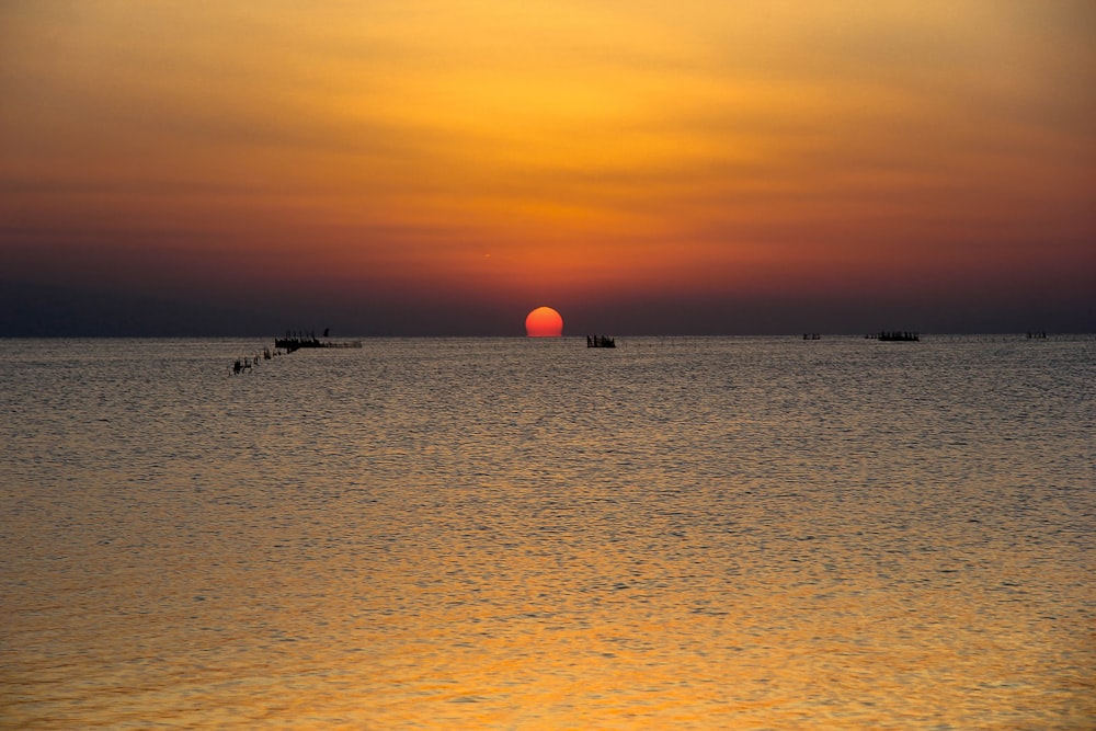 people on beach during sunset