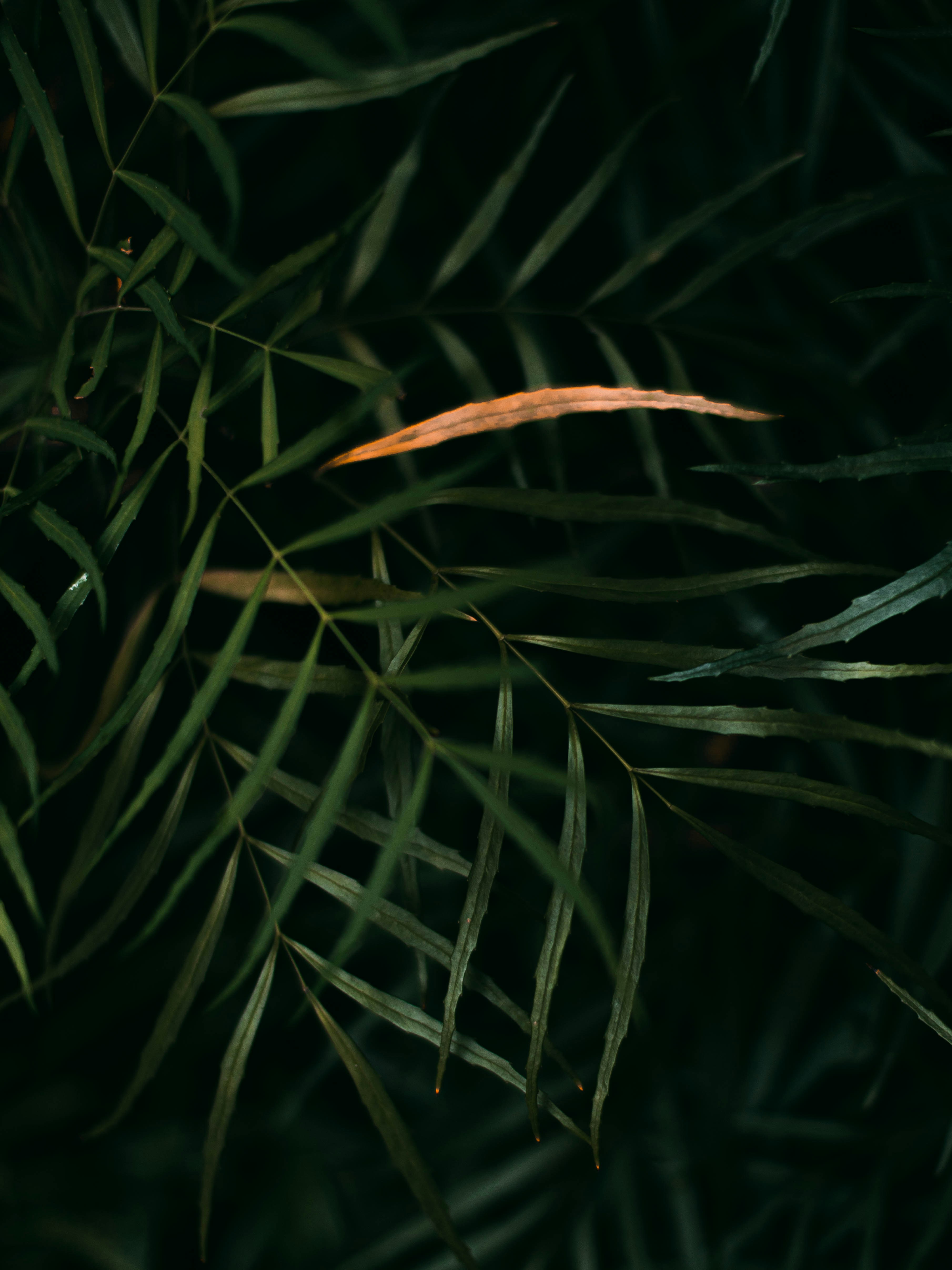 Photo by tabithaturnervisuals