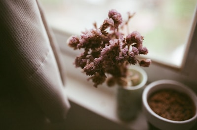 A delicate bouquet of dried lavender flowers is positioned on a windowsill. The scene includes a potted plant with soil next to the flowers, partially obscured by a curtain. Warm light filters through the window, creating a soft, serene ambiance.
