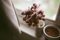 A delicate bouquet of dried lavender flowers is positioned on a windowsill. The scene includes a potted plant with soil next to the flowers, partially obscured by a curtain. Warm light filters through the window, creating a soft, serene ambiance.