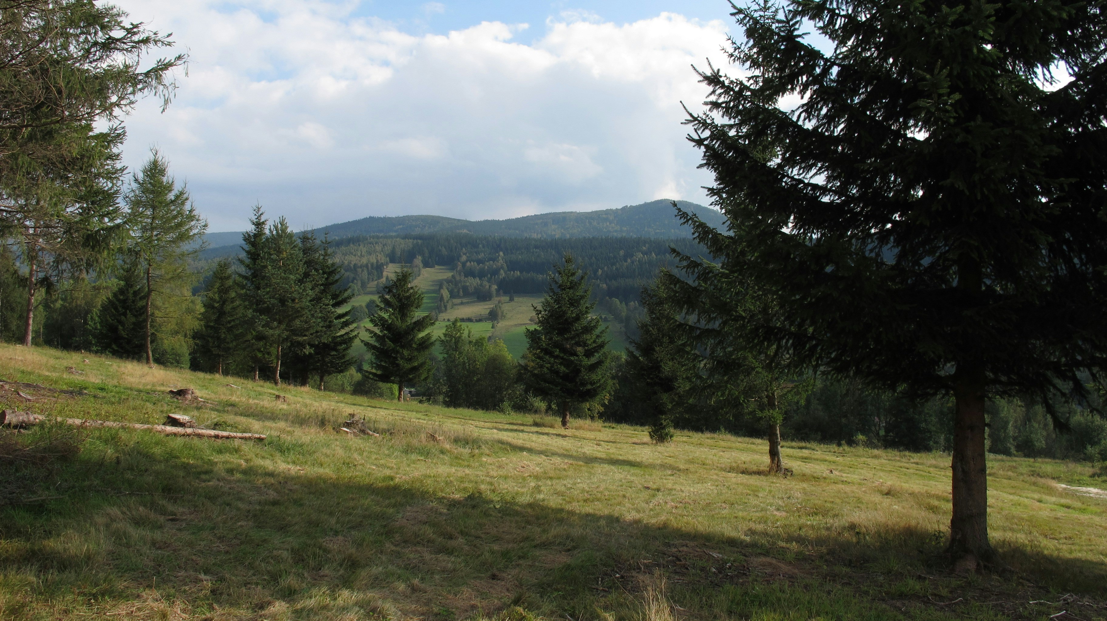 Photo by marek_ruczaj